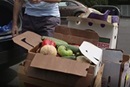 Vegetables from the farmer's market are saved from the trash by members of Metropolitan Memorial United Methodist Church. The church has a chef who turns surplus food into healthy meals for the hungry. 