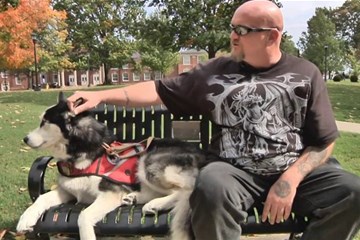 Wolfgang is a service dog for a veteran with PTSD. 