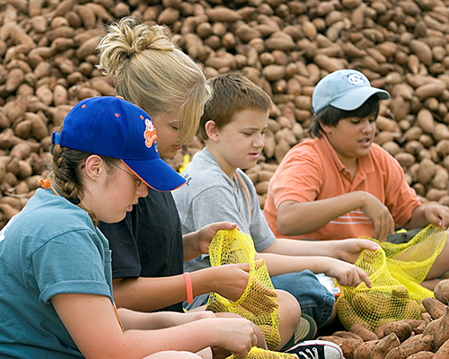 2019_YSF_DYK_image_500x400