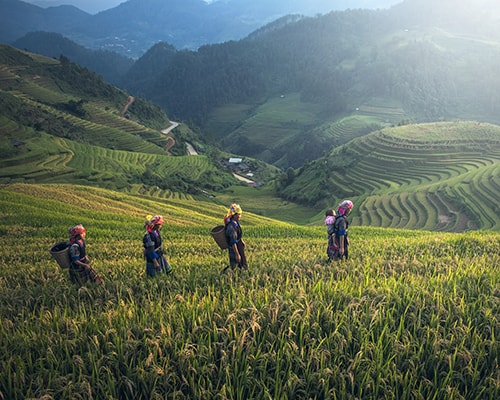 2019_ADV_DYK_Ladies_in_field_500x400