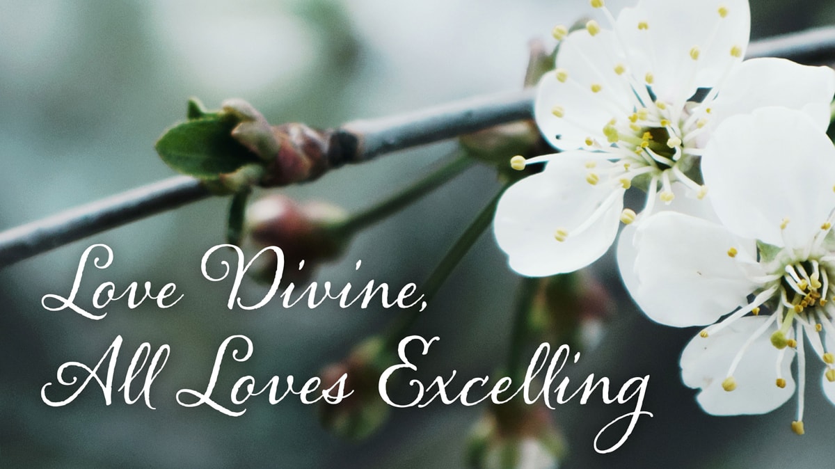 Charles Wesley’s “Love Divine, All Loves Excelling” teaches about God’s grace that fills us with love. Image by Kathryn Price, United Methodist Communications.