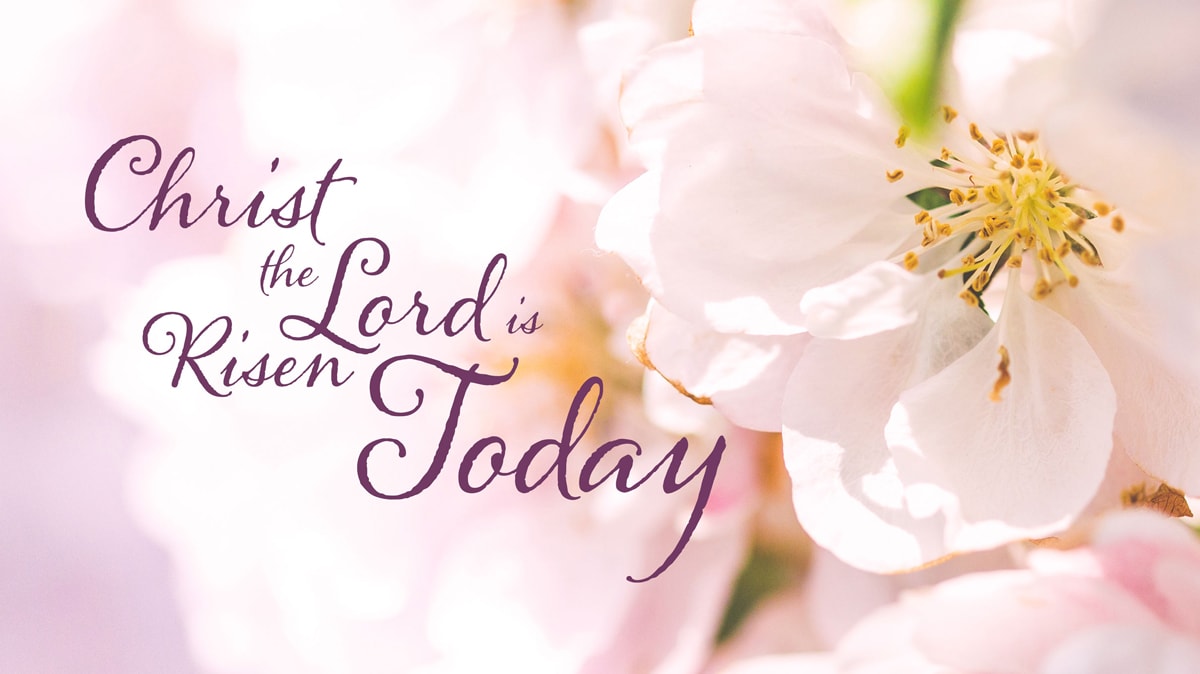 United Methodist founder Charles Wesley’s Easter hymn “Christ the Lord Is Risen Today” is a celebration of resurrection and new life. Image by Kathryn Price, United Methodist Communications.