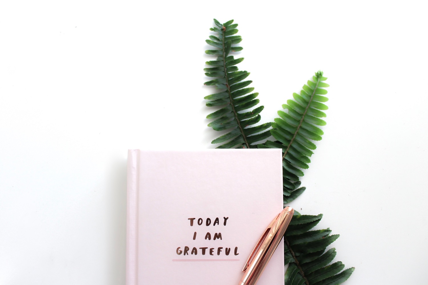 Gratitude journal Photo by Freshh Connection on Unsplash