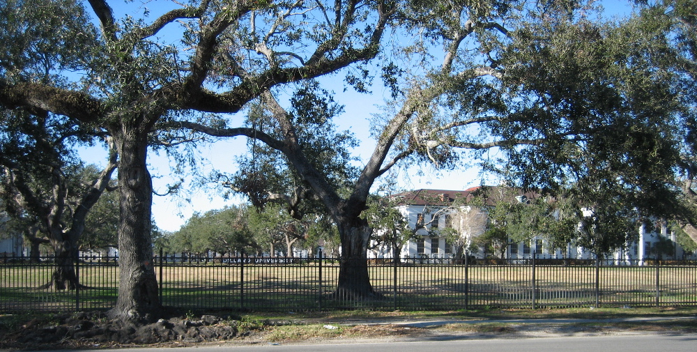 Portion of the Dillard University Campus on Gentilly Road, New Orleans, Louisiana. Photo by Infrogmation of New Orleans.