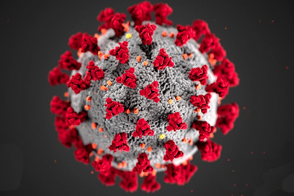 Coronavírus visto sob um microscópio eletrônico.