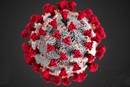 Coronavirus as viewed under an electron microscope.