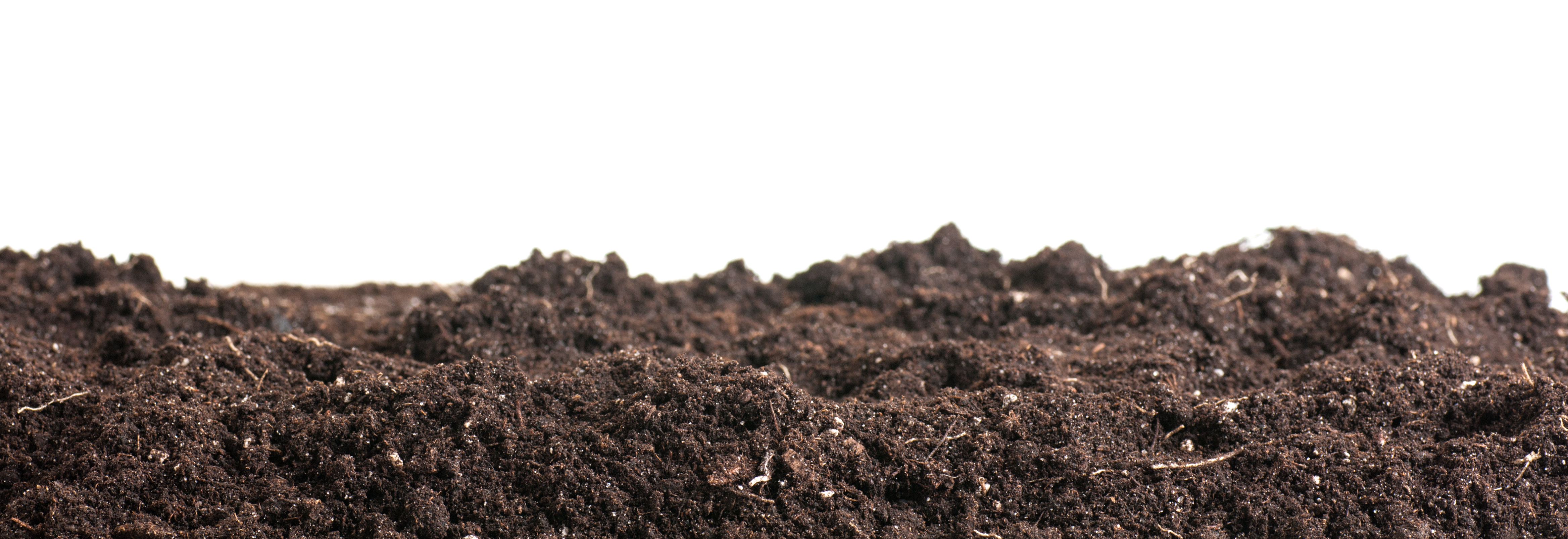 Tip 11: Start home composting