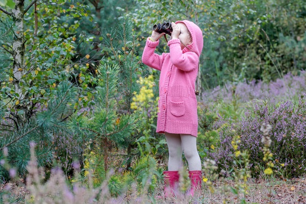 Allez observer les oiseaux