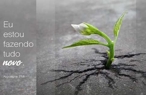 Foto de Skeeze, cortesia de pixabay.com. Gráfico original da Laurens Glass; Versão em português Rev. Gustavo Vasquez, Notícias MU