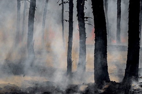 Bishop Kenneth H.  Carter Jr. writes about fear and how Christians should face the uncertain. Photo by Unsplash.