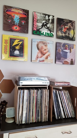 The guilty collection