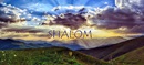 A palavra shalom em hebraico significa paz e descreve a harmonia entre a humanidade e toda a criação de Deus. Foto de RÜŞTÜ BOZKUŞ, cortesia da Pixabay.