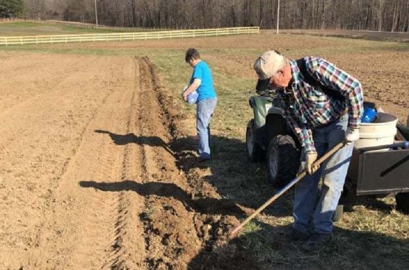 Lyn and Gene Saltzman plant the first potato crop in March 2021. Photo courtesy of Reelfoot Rural Ministries for Global Ministries. 