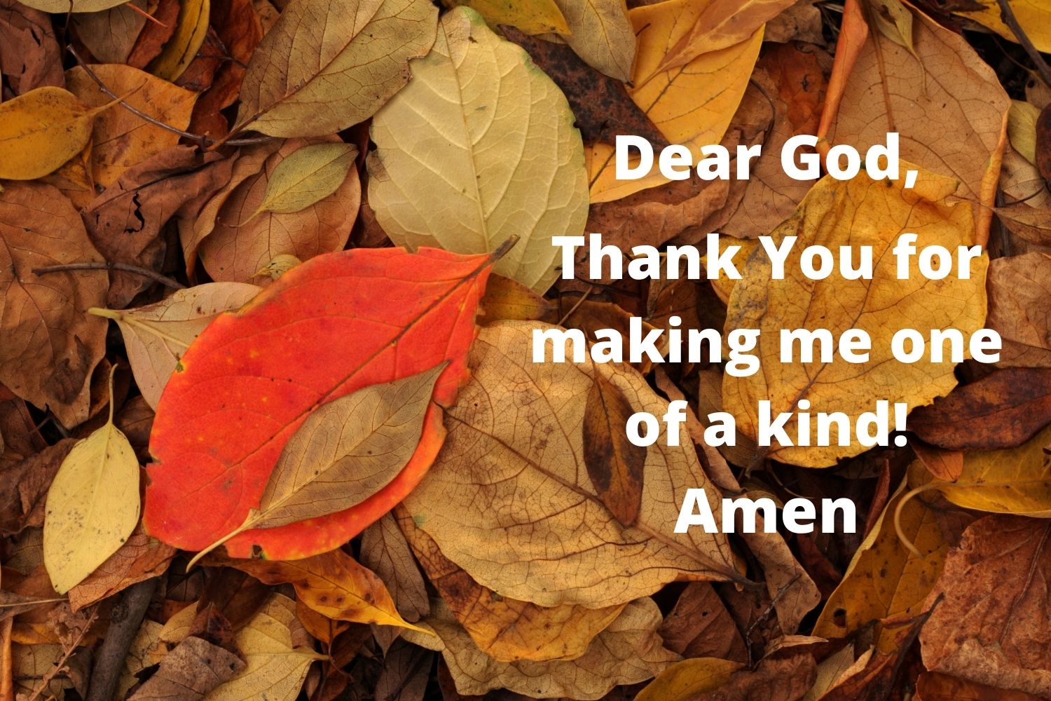 The Bible tells us that differences are God's design. Let's talk about and celebrate our diversity - and uniqueness - as God's children. Canva image design by United Methdoist Communications.