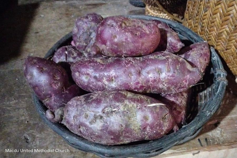 These ube purple sweet potatoes were left at the home of Pastor Frankie Ortilano Cayaban of Macdu UMC