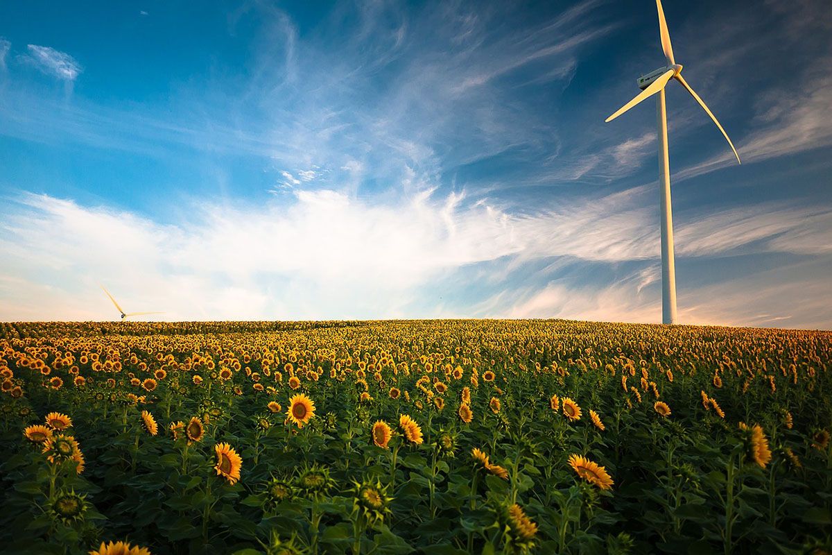 The sun provides us with heat energy, light energy and solar energy and is a renewable source of energy. Wind energy is also renewable and does not generate greenhouse gases. Photo by Pexels, courtesy of Pixabay.