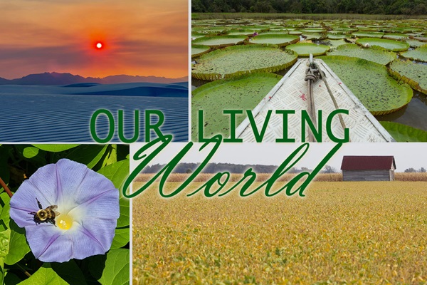 The Our Living World series focuses on ways United Methodists seek to re-link themselves with the living world that sustains them. Images by Laurens Glass, Paul Gomez and Mike DuBose, United Methodist Communications.