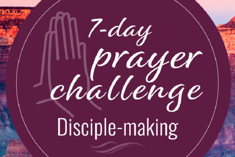 Sponsored by SBC21 and The Black Church Matters’ coaches, this 7-day video series features 2-minute video devotionals accompanied by a prayer starter.