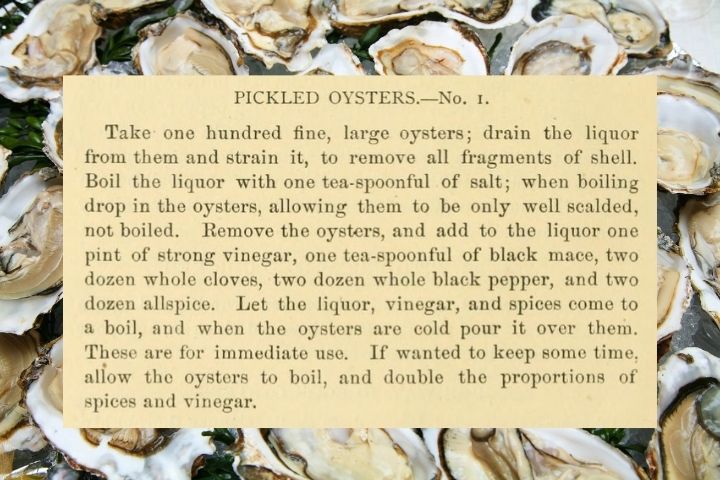 Recipe for pickled oysters from the 1878 Gulf City Cookbook