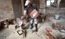 Francisco Julio Alfredo feeds chickens at the Quéssua Mission farm near Malanje, Angola. Photo by Mike DuBose, UM News.