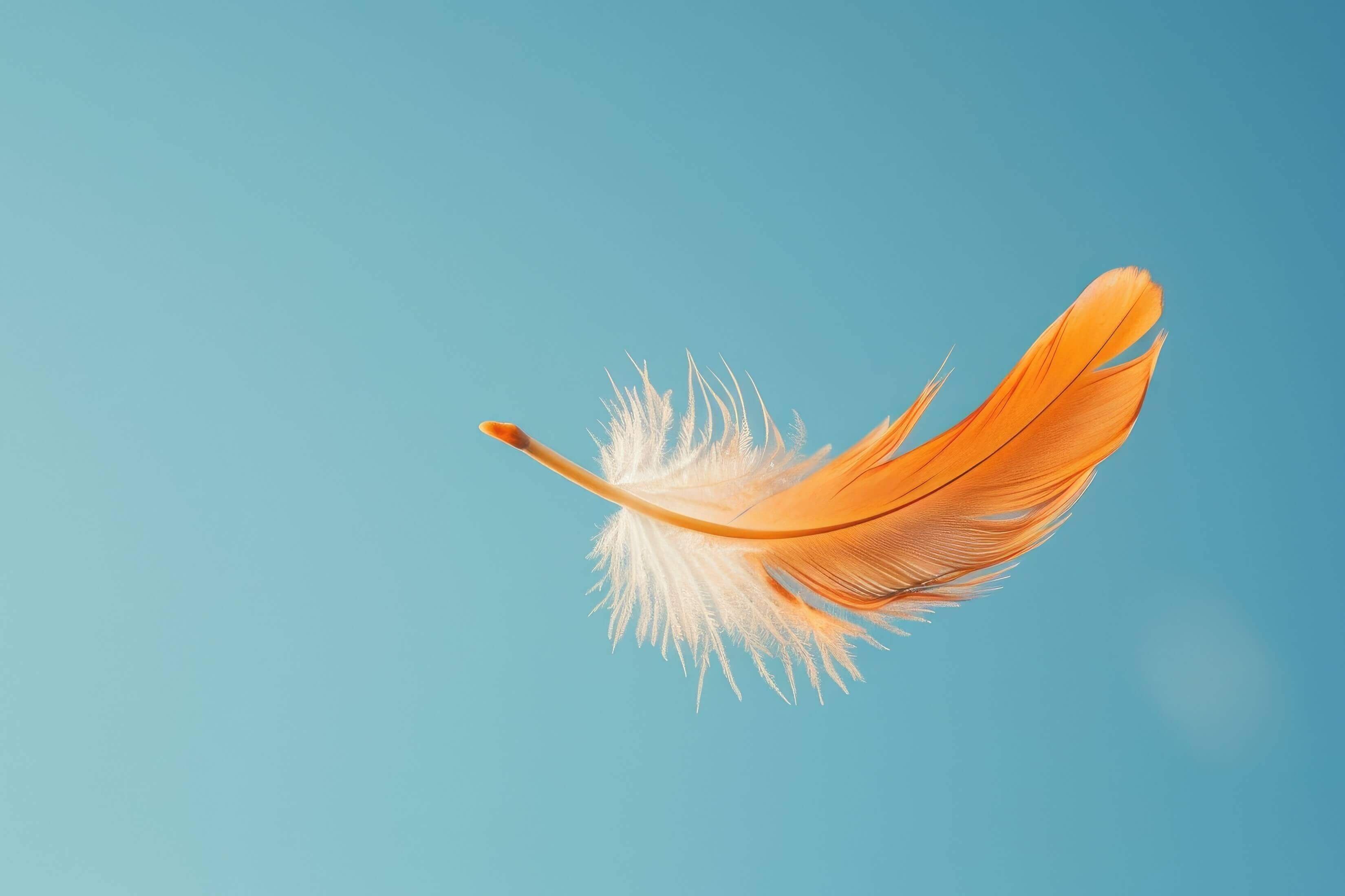 orange-feather-floating-blue-background-cover