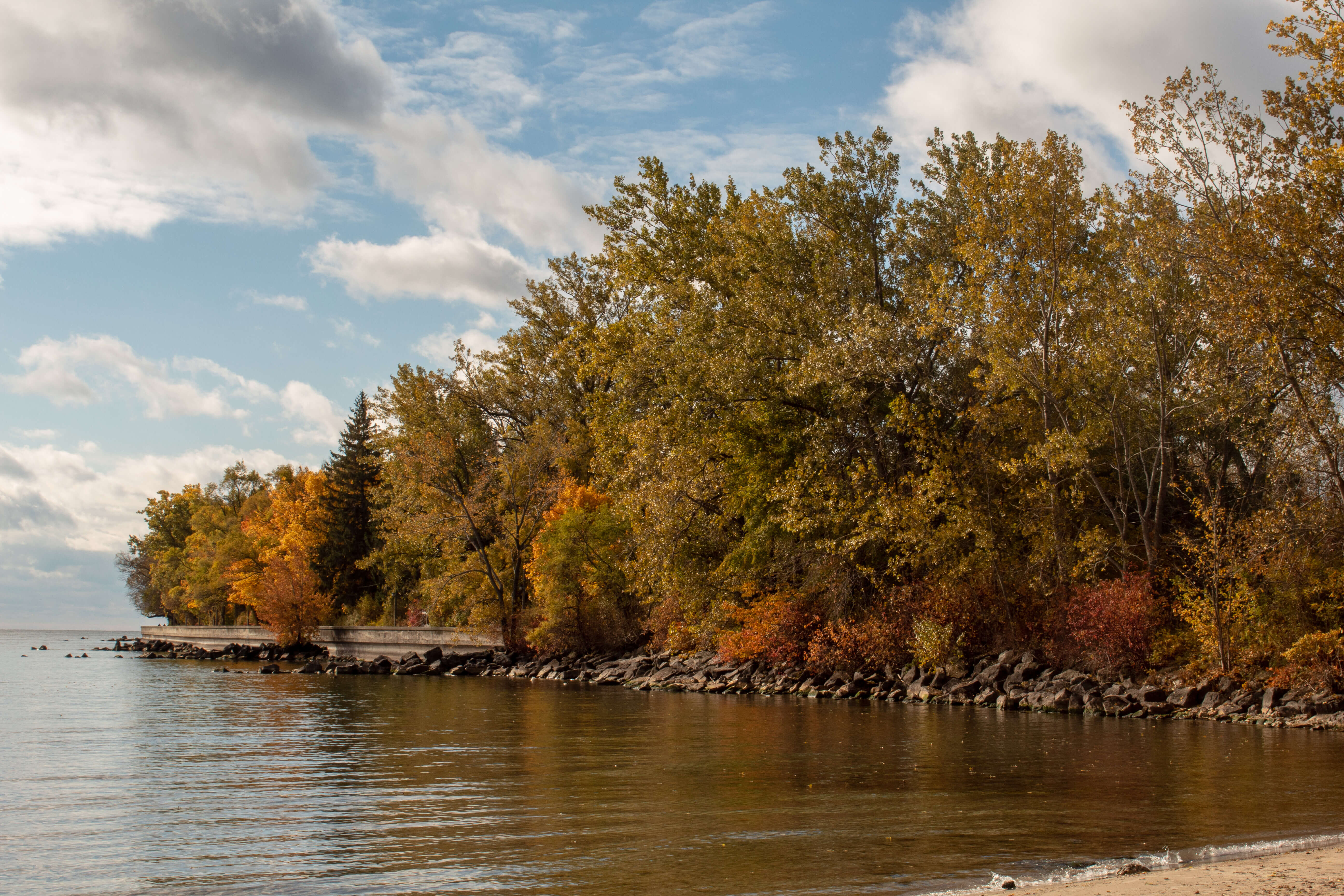 Lakeshore Avenue seen from Ward's Island Beach. Photo courtesy of Paul Gomez.