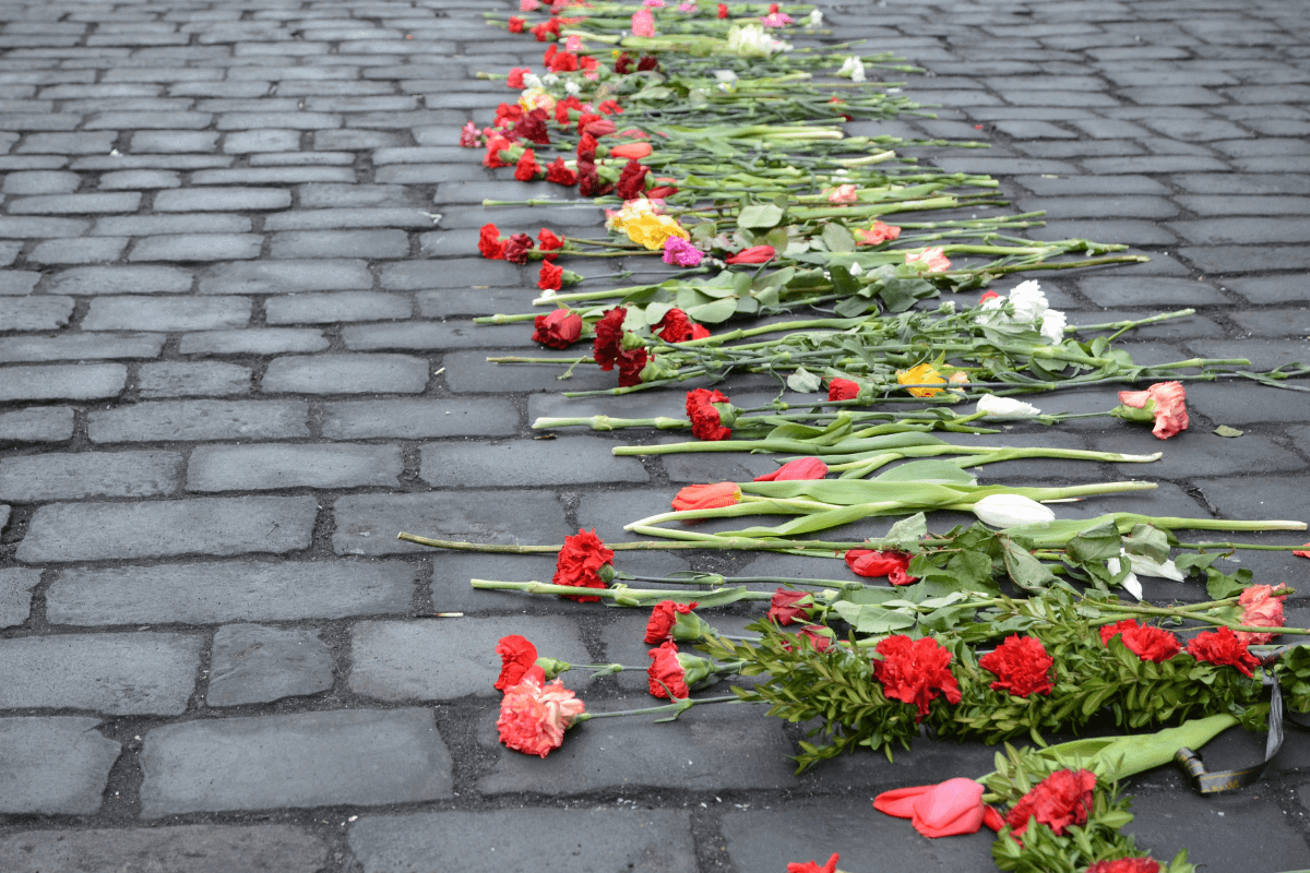 Our journey to shalom: Peace through action