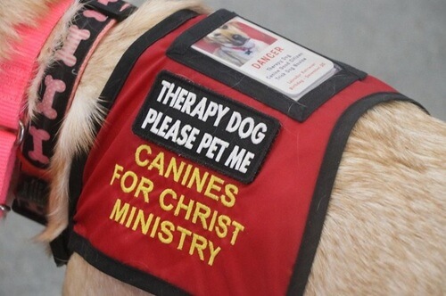 At Resurrection, a UMC, the hands of God are accompanied by paw prints. The multifaceted ministry offerings range from a pet food pantry to therapy animals.