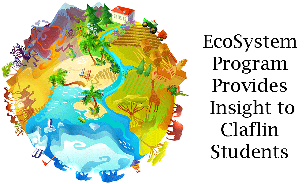 Photo credit: FreePik