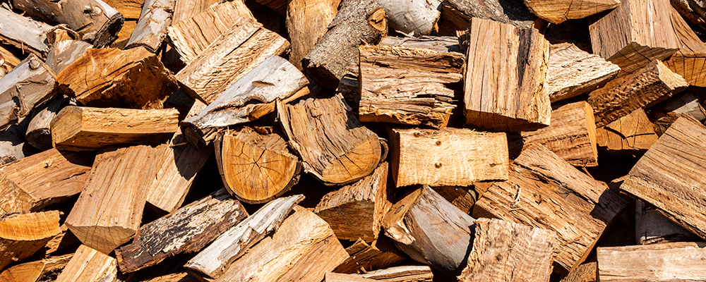 Photo Credit: FreePik and Courtesy photo.