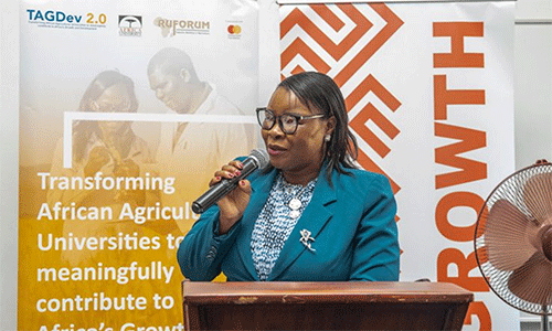 Keynote speaker, Dr. Nancy Kwangwa , Deputy Librarian at the Women’s University in Africa and member of  UNESCO Women 4 AI Ethics. Courtesy photo.