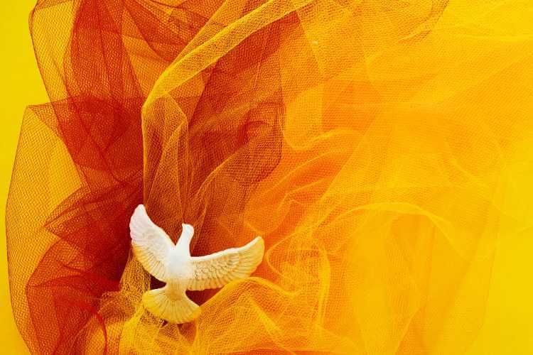 Devotional: We are a Pentecost people